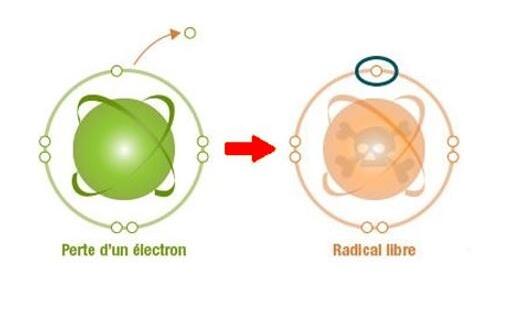 radicaux libres, stress,cellule, electron,stress oxydatif