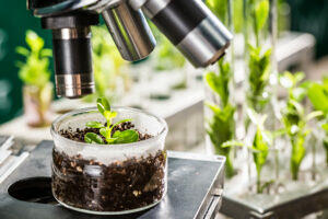 laboratoire nutravital, vitaélix, plantes naturelles, extraits de plantes.